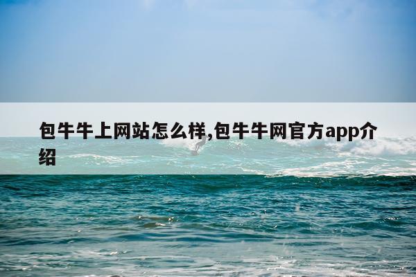 包牛牛上网站怎么样,包牛牛网官方app介绍