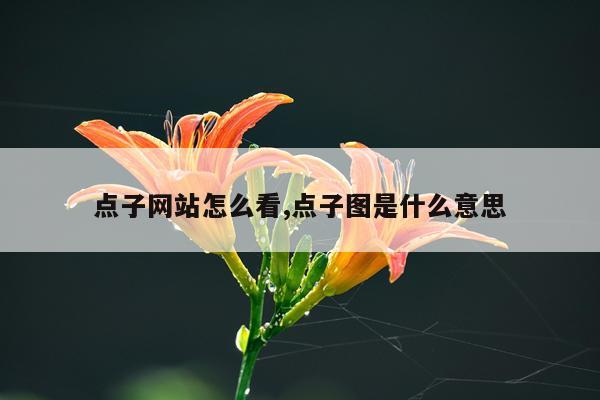 点子网站怎么看,点子图是什么意思