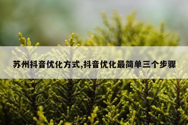 苏州抖音优化方式,抖音优化最简单三个步骤
