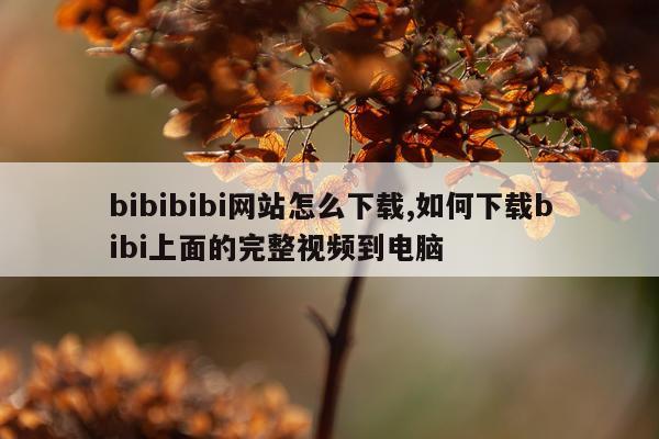 bibibibi网站怎么下载,如何下载bibi上面的完整视频到电脑