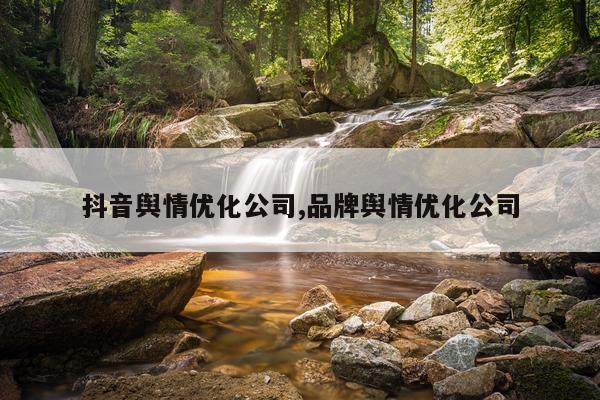 抖音舆情优化公司,品牌舆情优化公司