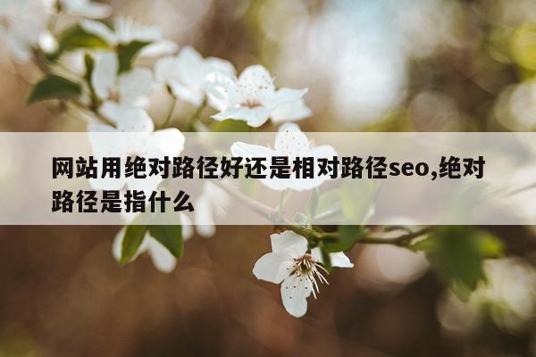 网站用绝对路径好还是相对路径seo,绝对路径是指什么