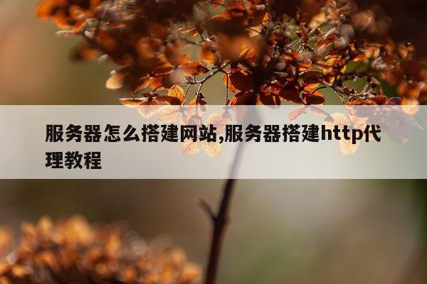 服务器怎么搭建网站,服务器搭建http代理教程
