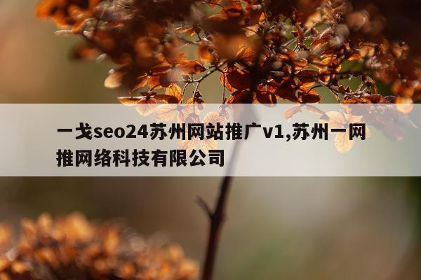一戈seo24苏州网站推广v1,苏州一网推网络科技有限公司