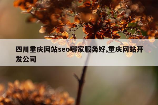 四川重庆网站seo哪家服务好,重庆网站开发公司