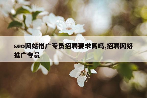 seo网站推广专员招聘要求高吗,招聘网络推广专员