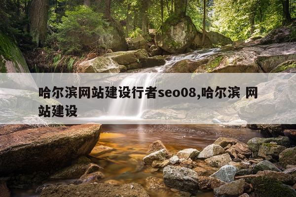 哈尔滨网站建设行者seo08,哈尔滨 网站建设