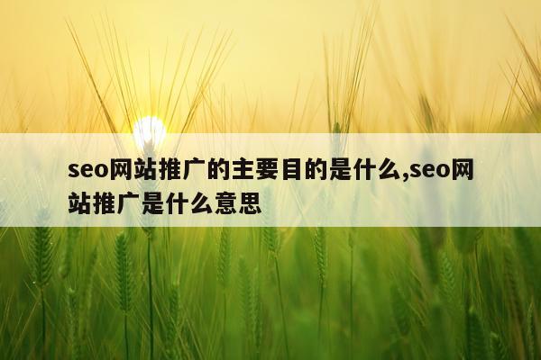 seo网站推广的主要目的是什么,seo网站推广是什么意思