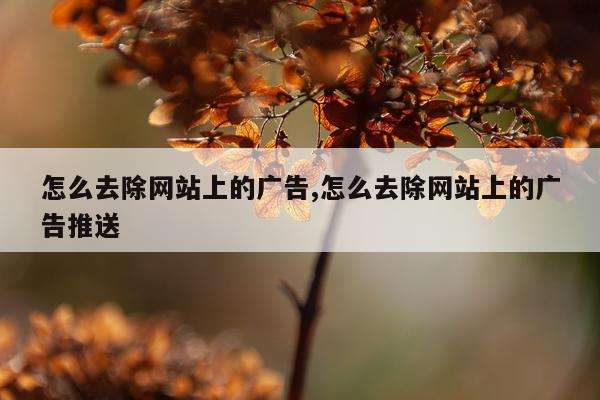 怎么去除网站上的广告,怎么去除网站上的广告推送