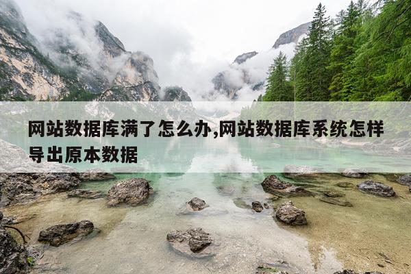 网站数据库满了怎么办,网站数据库系统怎样导出原本数据
