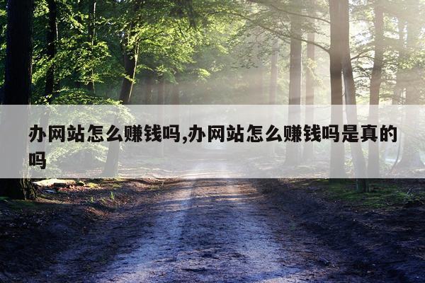办网站怎么赚钱吗,办网站怎么赚钱吗是真的吗