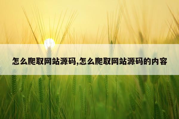 怎么爬取网站源码,怎么爬取网站源码的内容