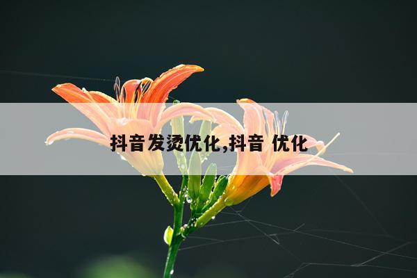 抖音发烫优化,抖音 优化