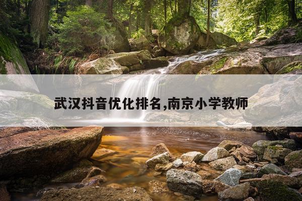 武汉抖音优化排名,南京小学教师