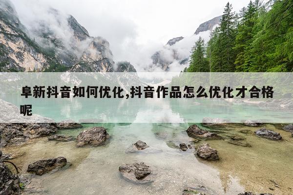 阜新抖音如何优化,抖音作品怎么优化才合格呢