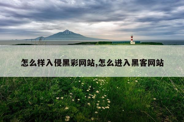 怎么样入侵黑彩网站,怎么进入黑客网站