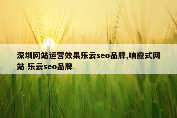 深圳网站运营效果乐云seo品牌,响应式网站 乐云seo品牌