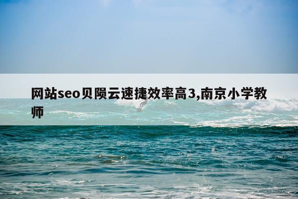 网站seo贝陨云速捷效率高3,南京小学教师