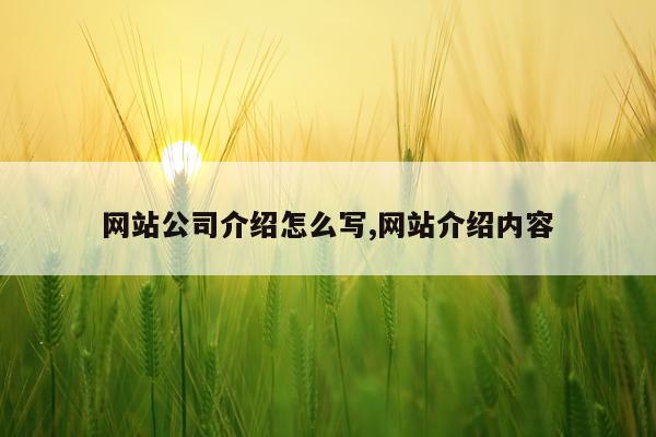 网站公司介绍怎么写,网站介绍内容