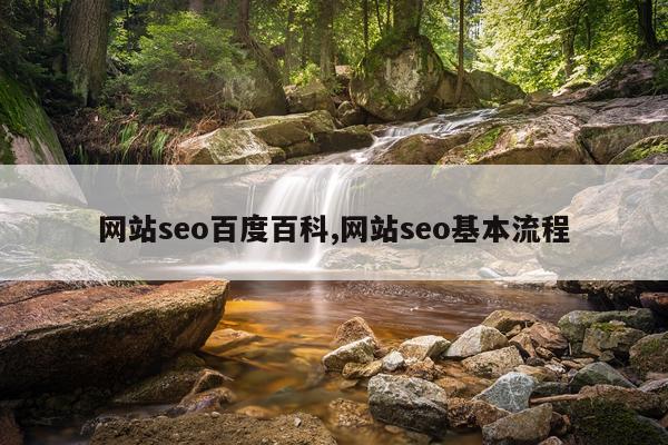 网站seo百度百科,网站seo基本流程