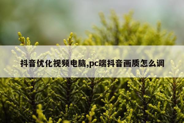 抖音优化视频电脑,pc端抖音画质怎么调