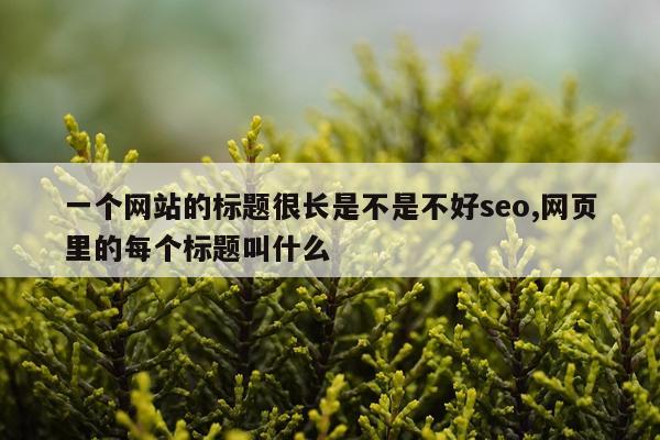 一个网站的标题很长是不是不好seo,网页里的每个标题叫什么