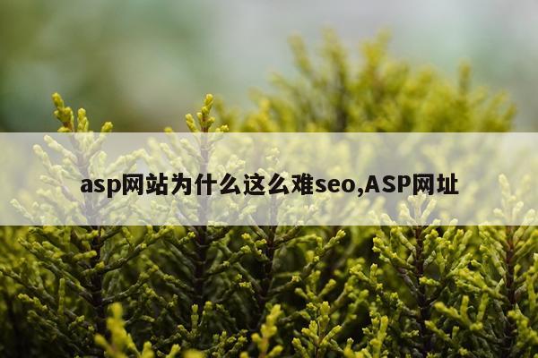 asp网站为什么这么难seo,ASP网址