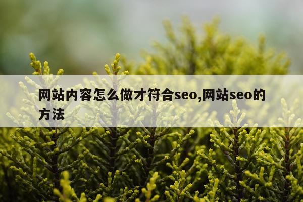 网站内容怎么做才符合seo,网站seo的方法