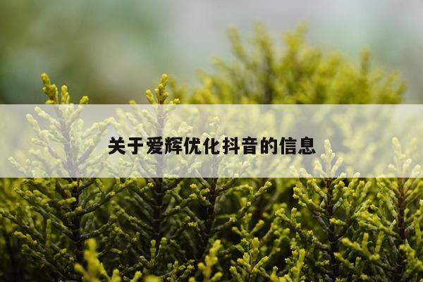 关于爱辉优化抖音的信息