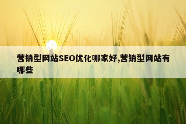 营销型网站SEO优化哪家好,营销型网站有哪些