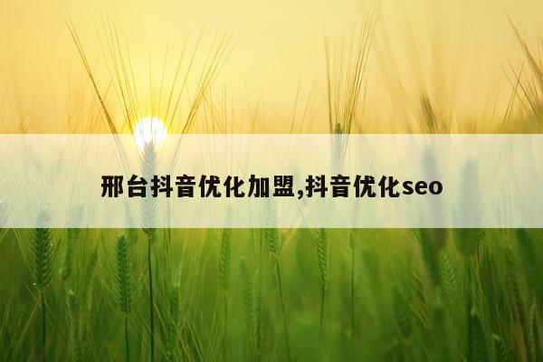邢台抖音优化加盟,抖音优化seo