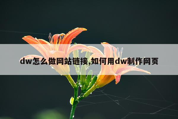 dw怎么做网站链接,如何用dw制作网页