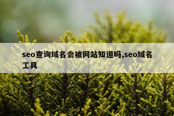 seo查询域名会被网站知道吗,seo域名工具