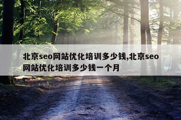 北京seo网站优化培训多少钱,北京seo网站优化培训多少钱一个月