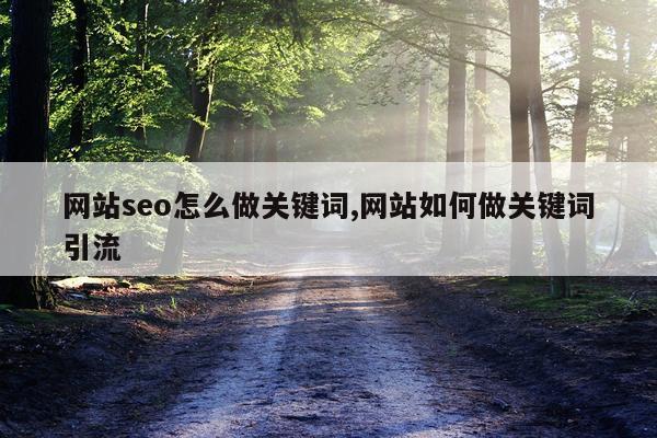 网站seo怎么做关键词,网站如何做关键词引流
