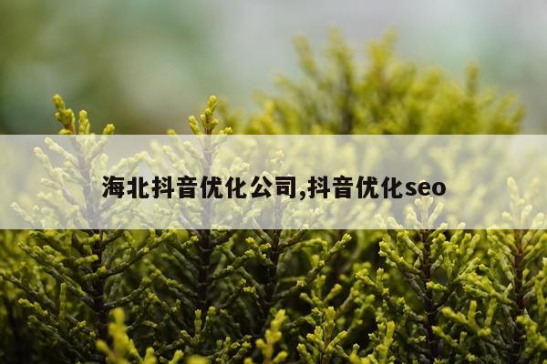 海北抖音优化公司,抖音优化seo
