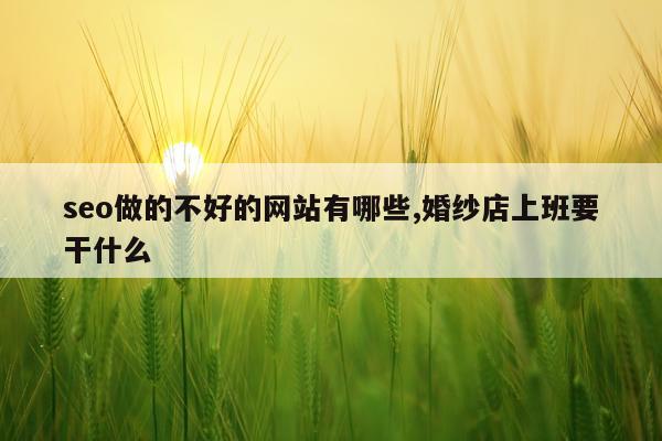 seo做的不好的网站有哪些,婚纱店上班要干什么