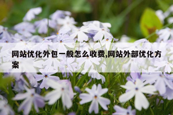 网站优化外包一般怎么收费,网站外部优化方案