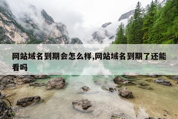 网站域名到期会怎么样,网站域名到期了还能看吗