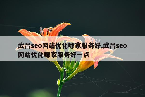 武昌seo网站优化哪家服务好,武昌seo网站优化哪家服务好一点