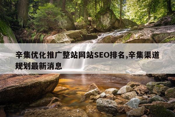 辛集优化推广整站网站SEO排名,辛集渠道规划最新消息