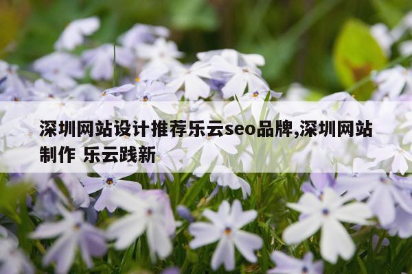 深圳网站设计推荐乐云seo品牌,深圳网站制作 乐云践新
