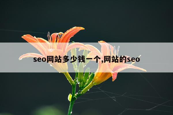 seo网站多少钱一个,网站的seo
