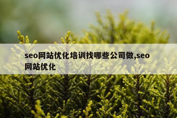seo网站优化培训找哪些公司做,seo 网站优化