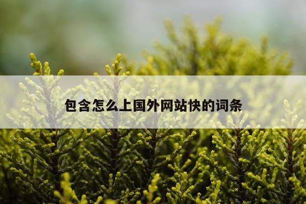 包含怎么上国外网站快的词条