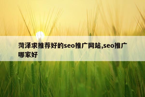 菏泽求推荐好的seo推广网站,seo推广哪家好