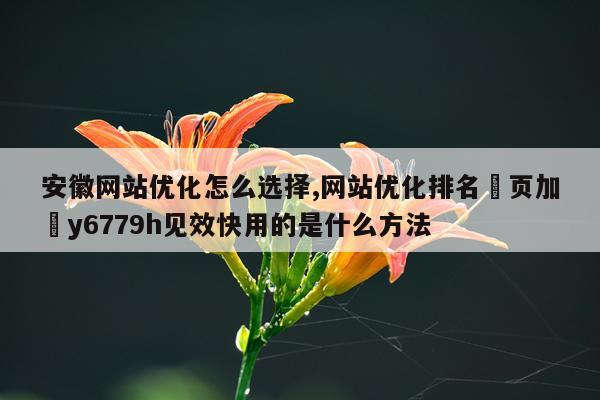 安徽网站优化怎么选择,网站优化排名渞页加幑y6779h见效快用的是什么方法