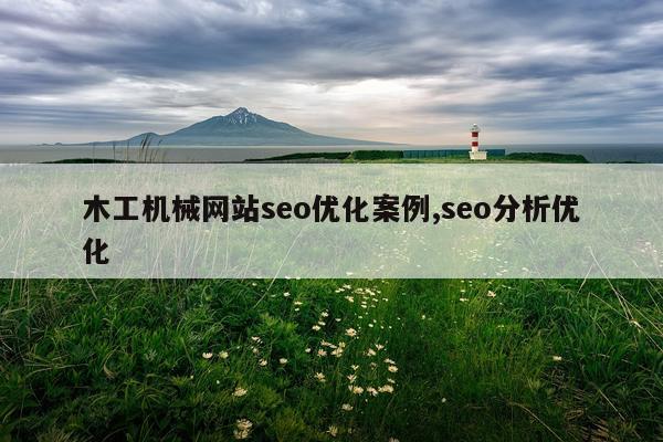 木工机械网站seo优化案例,seo分析优化