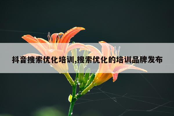 抖音搜索优化培训,搜索优化的培训品牌发布
