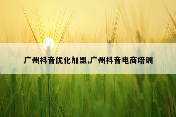 广州抖音优化加盟,广州抖音电商培训